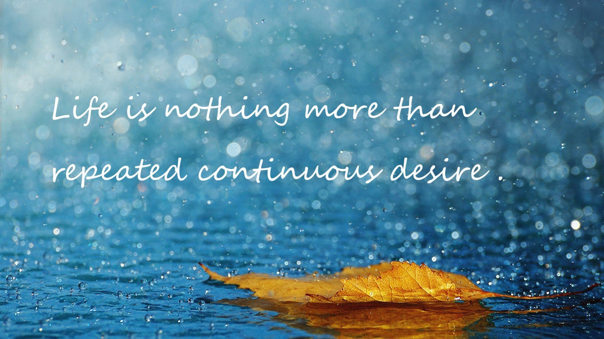 九游9游-全能运动会：多项赛事一站式体验，全能运动比赛有几项