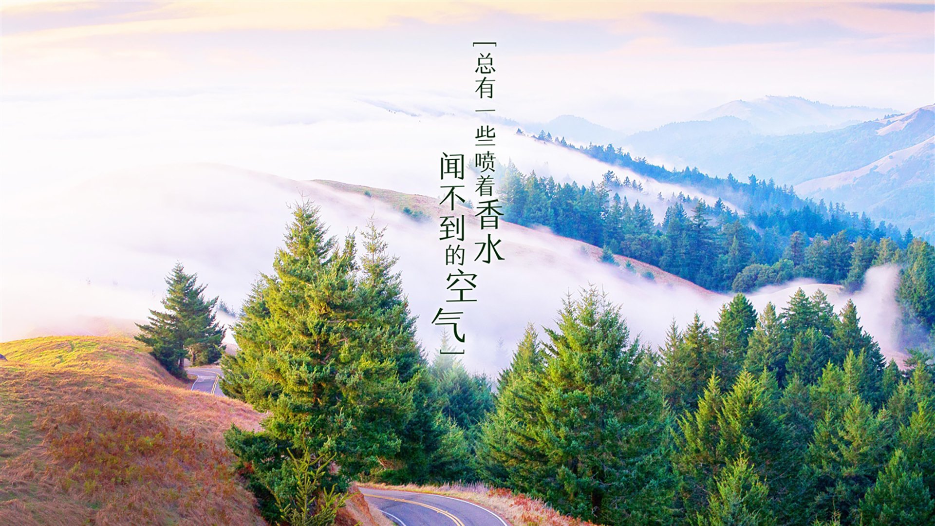 _热火队防守残酷，击退对手反扑_，热火队联防